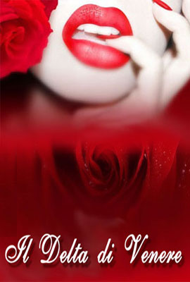 Il Delta di Venere - Sexyshop